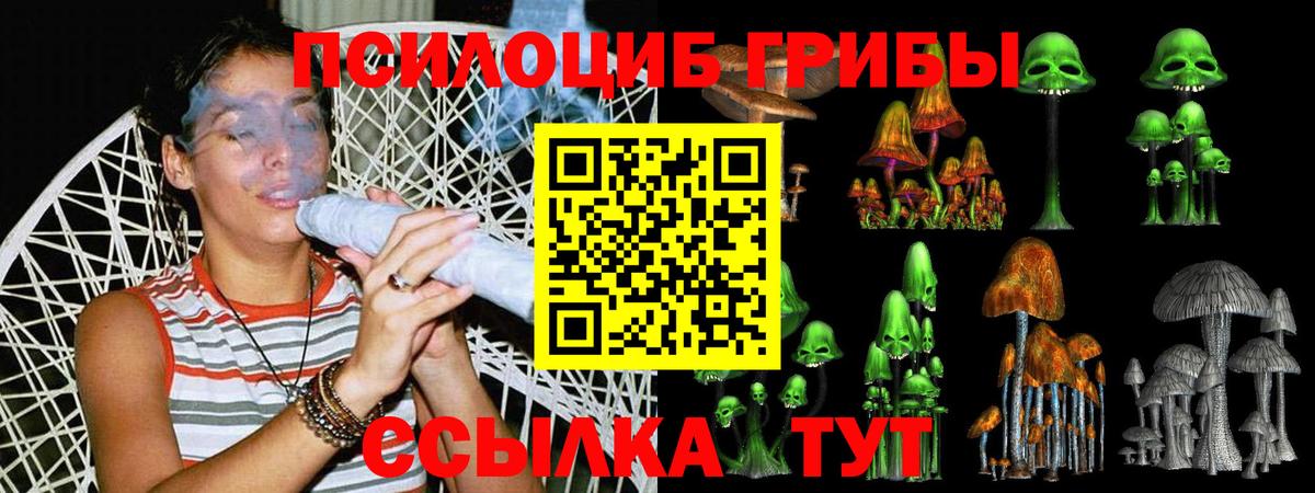 Псилоцибиновые грибы прущие грибы  Вход с VPN  Михайловск 
