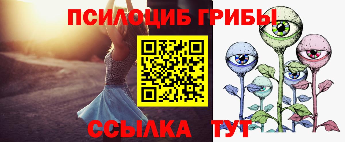 Псилоцибиновые грибы ЛСД Михайловск