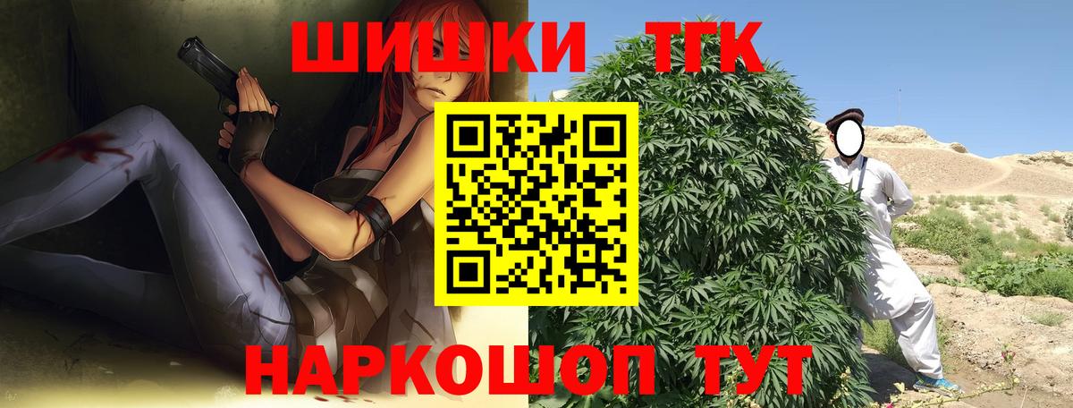 Конопля сатива Михайловск